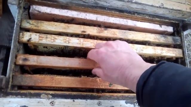 Заканчиваю ревизию,покажу ещё несколько примеров! 15.03.2021 смотреть онлайн
