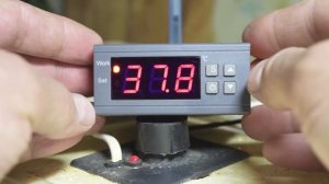 Терморегулятор из Китая - ремонт инкубатора "Золушка"