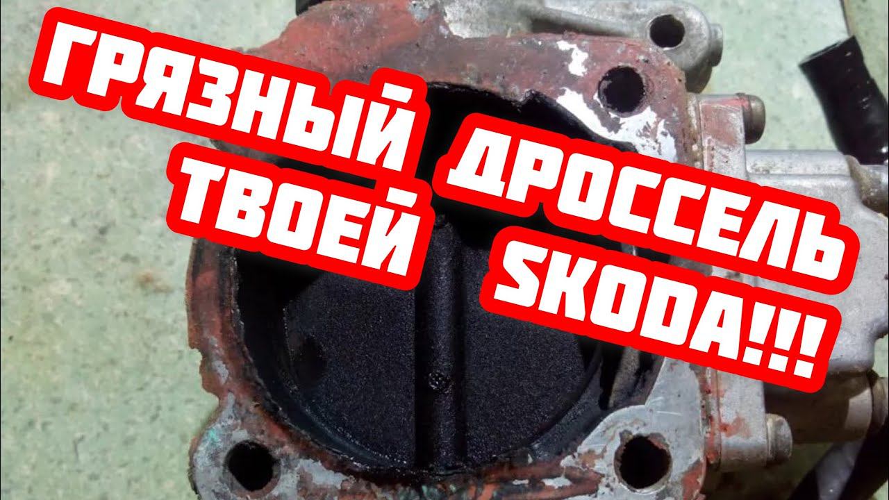 Skoda Octavia. Масло в дросселе. Что делать если не мыть впуск?