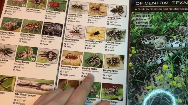 FAV POCKET/REFERENCE SURVIVAL GUIDES [Prepping 365: #185]