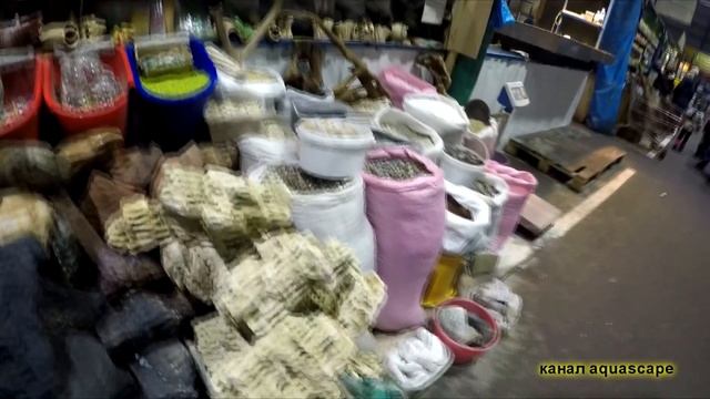 садовод аквариум поездка за рыбой смотреть онлайн