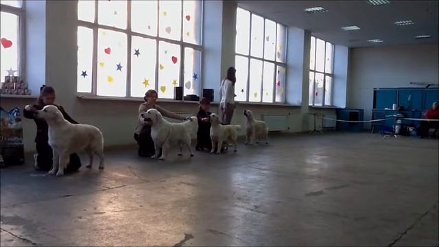 "РРК Осень - 2011" Сравнение на ЛПП смотреть онлайн