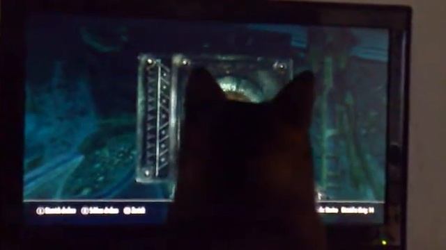 My Cat Loves Lockpicking In Skyrim