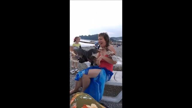 Развлечение на пляже в Хосте смотреть онлайн