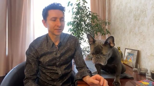 Медитация "Путешествие к мечте» смотреть онлайн