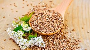 12 «ЧУДО - ПРОДУКТОВ» для ЭФФЕКТИВНОГО ПОХУДЕНИЯ. Ресвератрол в каких продуктах содержится