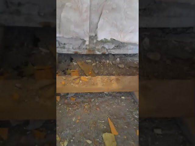 АртиФакт ремонт квартир Красноярск