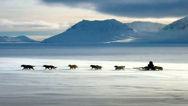 LDzNik || В АЛЯСКУ ПО ЖЕЛЕЗНЫМ ДОРОГАМ?! смотреть онлайн