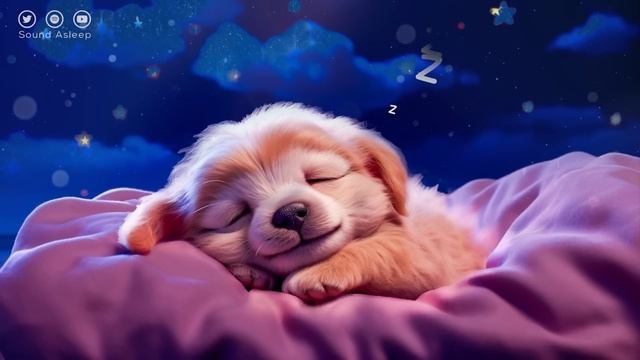 Canciones Para Dormir En 5 Minutos - Música Relajante Para Dormir Profundamente