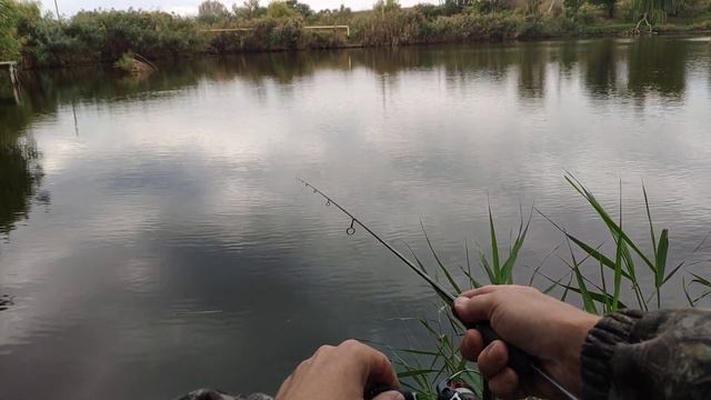 Осенний мормышинг с neoline 0.1-2. смотреть онлайн