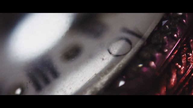 Macro Video Test With Reverse Ring | Cinematic 4K | Emotion Movie