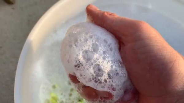 Smart Open автохимия. Почти Koch или есть куда стремиться?