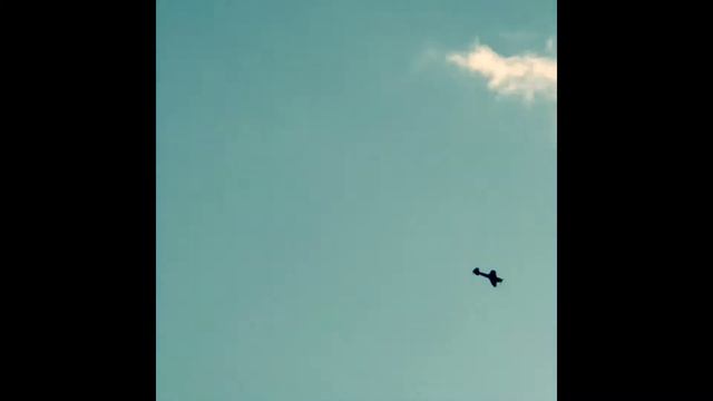 Высший пилотаж над Брестом смотреть онлайн