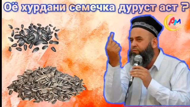 Оё хурдани семечка дуруст аст (ХОЧИ МИРЗО) смотреть онлайн
