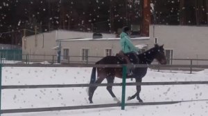 ПАРК ОТЕЛЬ ЗВЕНИГОРОД