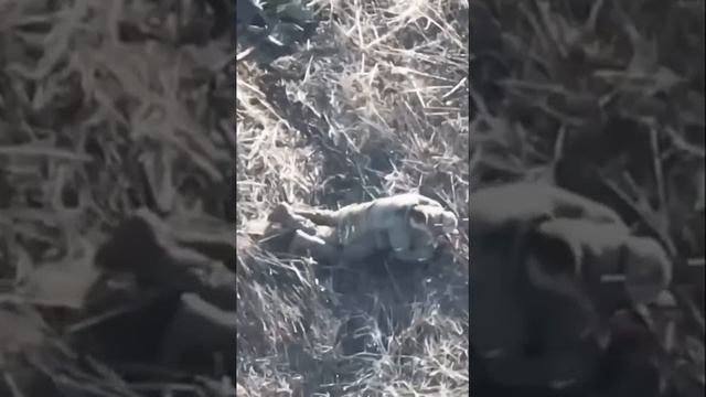 Братство навсегда! смотреть онлайн