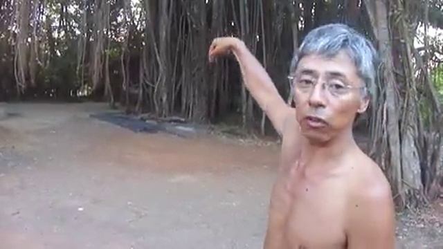 Дерево баньян смотреть онлайн