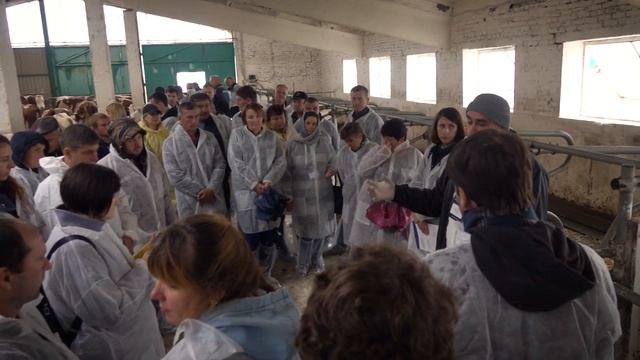 Молочний бізнес по-британськи: складання раціону, заготівля силосу та доїння/ Куркуль смотреть онлайн