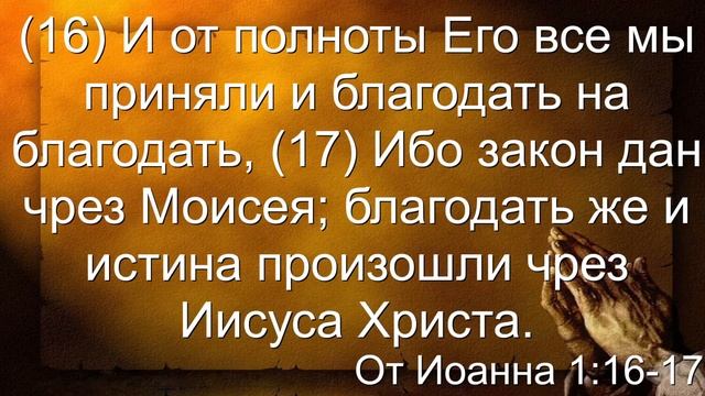 Вечернее богослужение 23 ноября 2022 г. смотреть онлайн