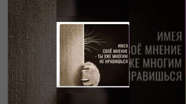 #no #commentary #нужно #говорить #свое #мнение я думаю так смотреть онлайн