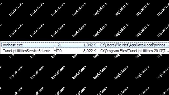 ? WinHost.exe смотреть онлайн