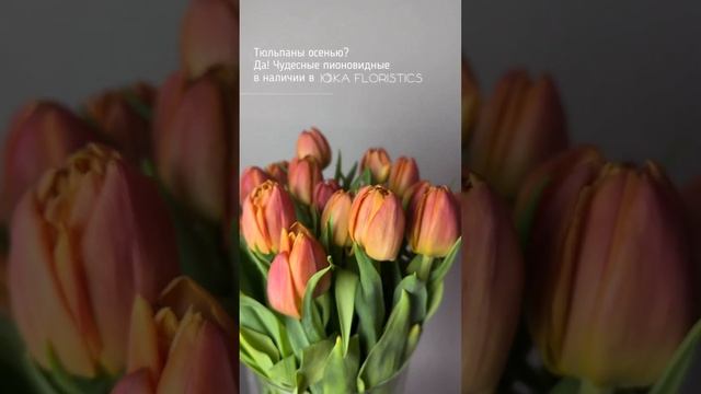 Тюльпаны купить Воронеж доставка цветов #цветыворонеж #доставкацветовворонеж смотреть онлайн