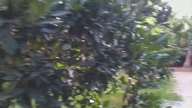 ✈Я отдыхаю в Турции на Море и хочу поделиться этой красотой 🌴🦜🌴Октябрь 2022год❤ смотреть онлайн