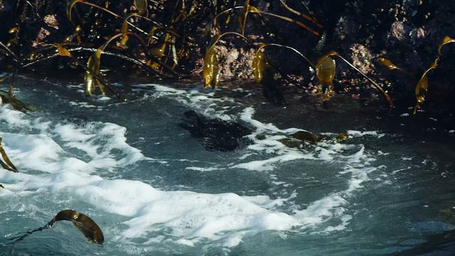 Великий Тихий океан 4K смотреть онлайн