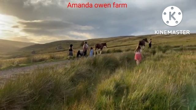 The hills look like they’ve been painted ! Amanda owen Farm смотреть онлайн