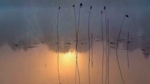 Где то среди звезд заблудилась мама....