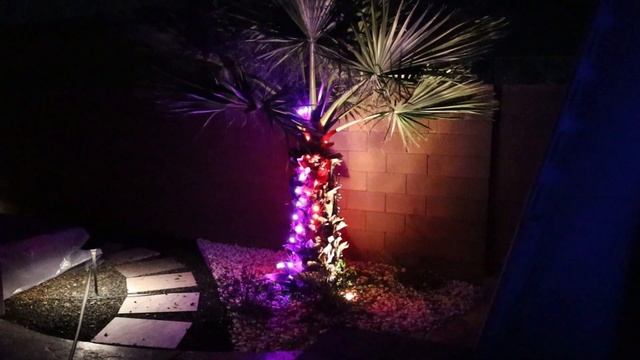 How to Set up ELlight Smart String Lights for your Home! смотреть онлайн