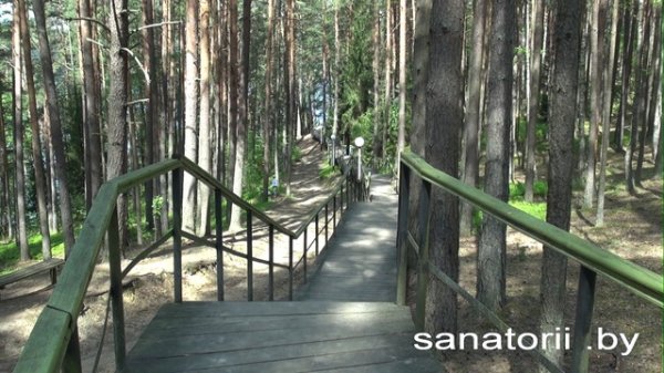 sanatorii.by санаторий Лесные озёра - территория