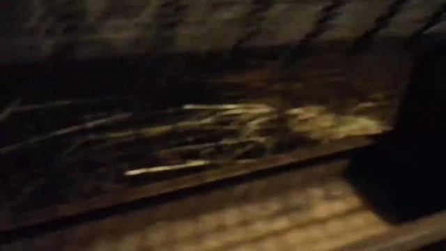 УТКИ АГИДЕЛЬ|3 часть смотреть онлайн
