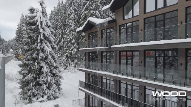 WOOD квадрокоптер 4К смотреть онлайн