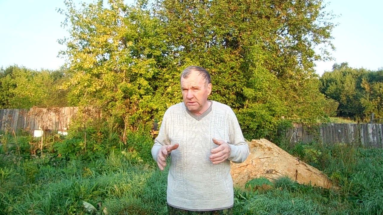 Начинаем вабить волка. смотреть онлайн