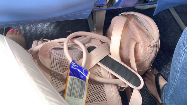 Летим с собакой в Турцию // Документы для перелёта в Турцию с собакой смотреть онлайн