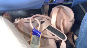 Летим с собакой в Турцию // Документы для перелёта в Турцию с собакой