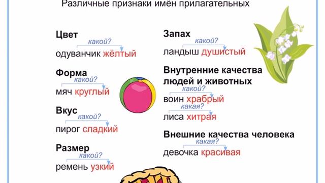 Имена прилагательные