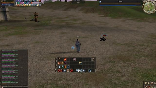 Top DPS - Sorcerer - Lineage 2 смотреть онлайн