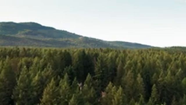 Расслабляющая, спокойная музыка для отдыха, медитации и сна. смотреть онлайн