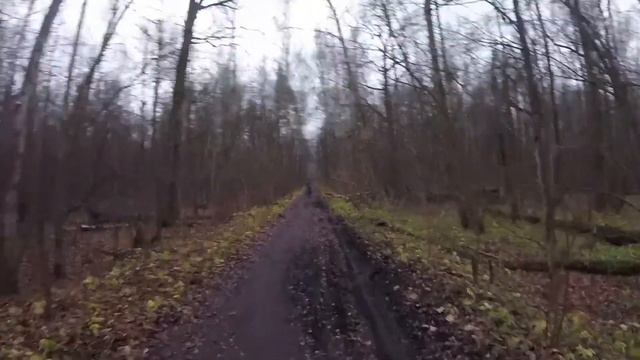 Лосиноостровский парк (тестирую трекинговые палки Leki trail antishock) смотреть онлайн
