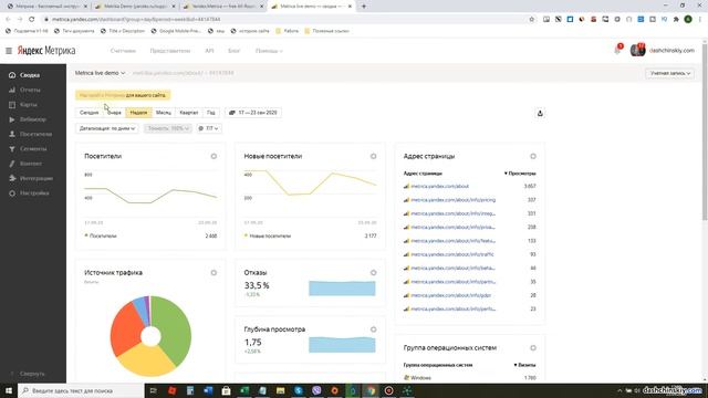 Демо версия (тестовый аккаунт) Яндекс Метрика смотреть онлайн