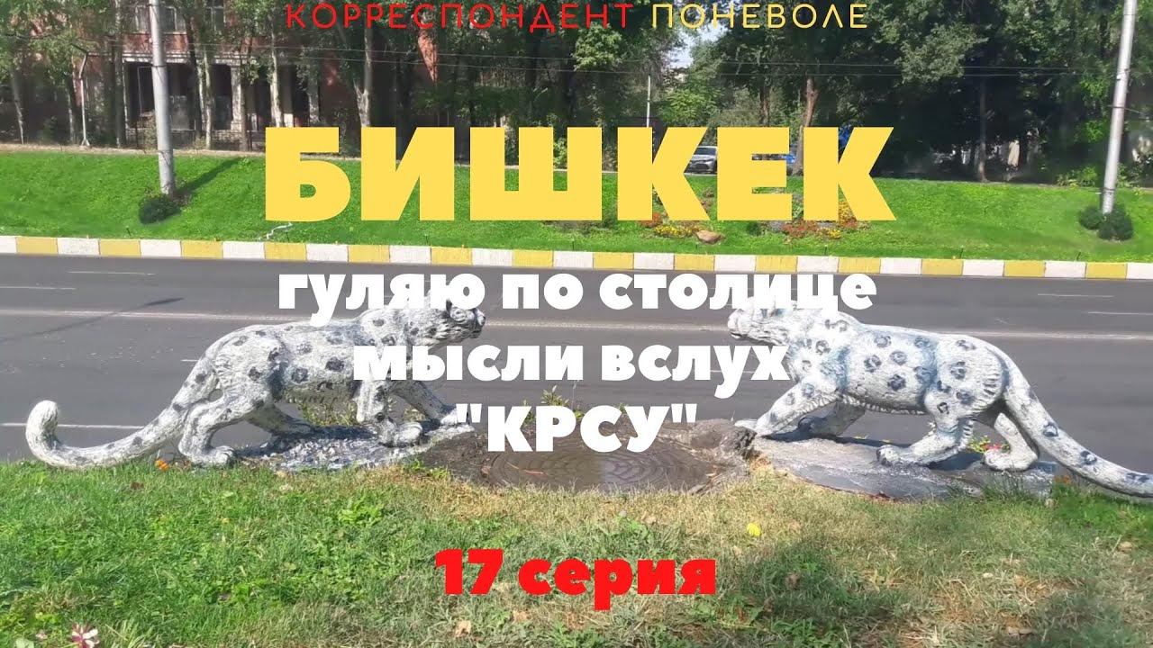 корреспондент поневоле 17 серия смотреть онлайн