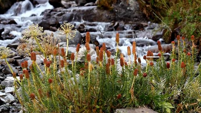 Учим испанский язык ? времена года и месяца на испанском языке ? онлайн курс испанского языка смотреть онлайн