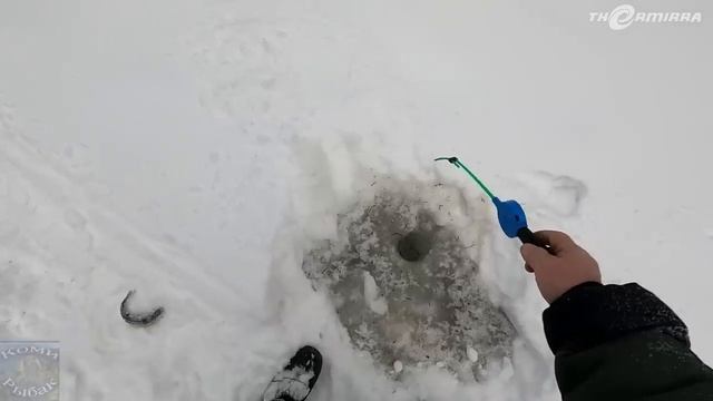 Первая рыбалка на ХАРИУСА в зимнем сезоне \ Часть 1 \ Заезд. Изба. Пробиваем дорогу. Опасный лёд смотреть онлайн