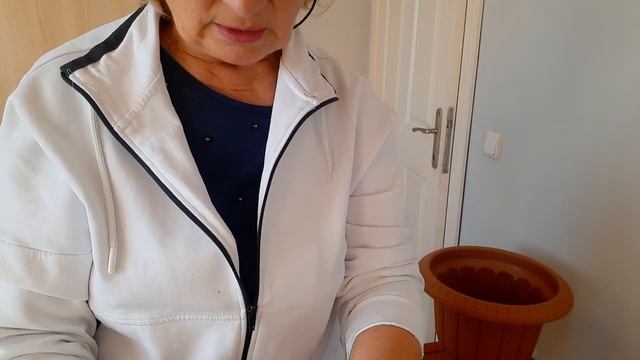 И снова нематода!!! Yeniden nematod. ( по - русски в конце ролика) смотреть онлайн