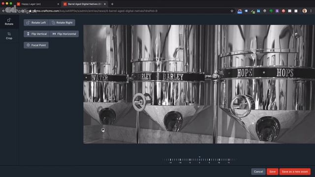 Setting the Focal Point on an Image Asset in Craft CMS смотреть онлайн
