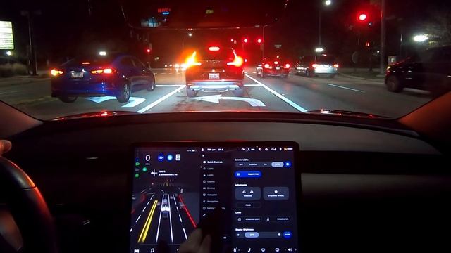 Can Tesla FSD Beta software see a MOUSE on the road??? смотреть онлайн