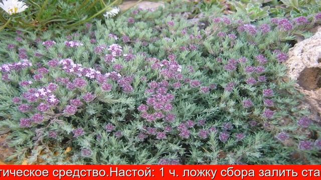 Крымская косметика Подарочный набор Конфеты с Глинтвейном смотреть онлайн