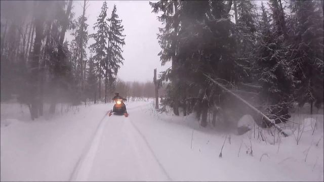 СНЕГОХОД СТЕЛС КАПИТАН и ИРБИС СФ 150. ПРОКАТ. г Киржач смотреть онлайн